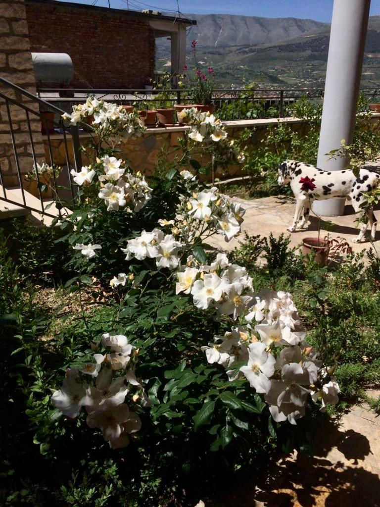 Guesthouse Villa Rosa Berat Szoba fotó